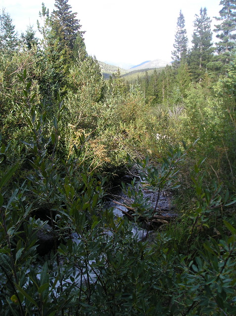 P8300297.JPG